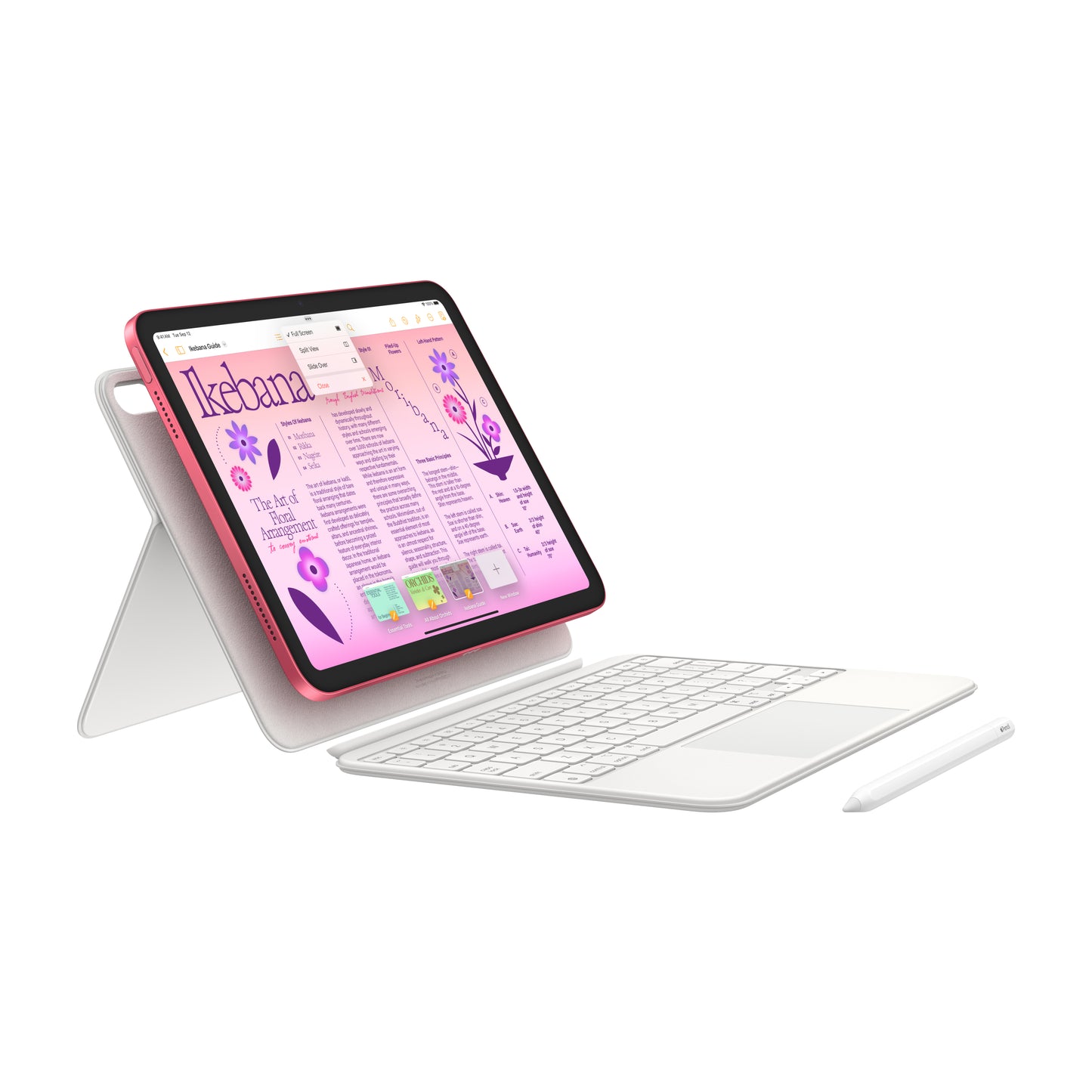 Apple 11palcový iPad Wi-Fi 256GB - stříbrný (otevřený) - iSTYLE.cz