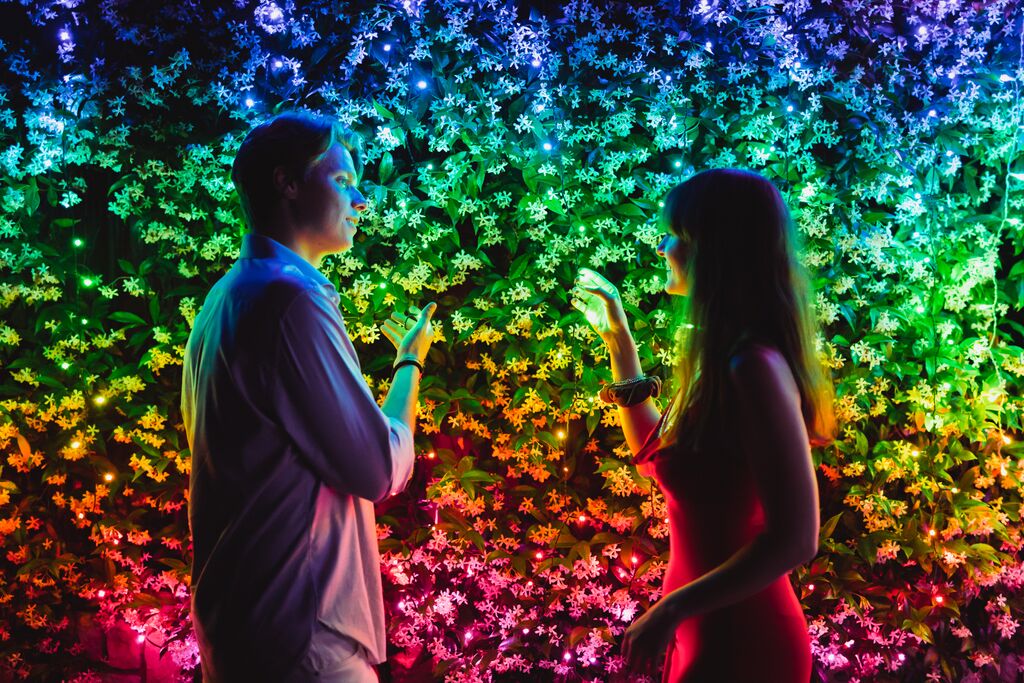 Chytré LED osvětlení na stromeček Twinkly Strings 100 diod 8m - vícebarevné - iSTYLE CZ